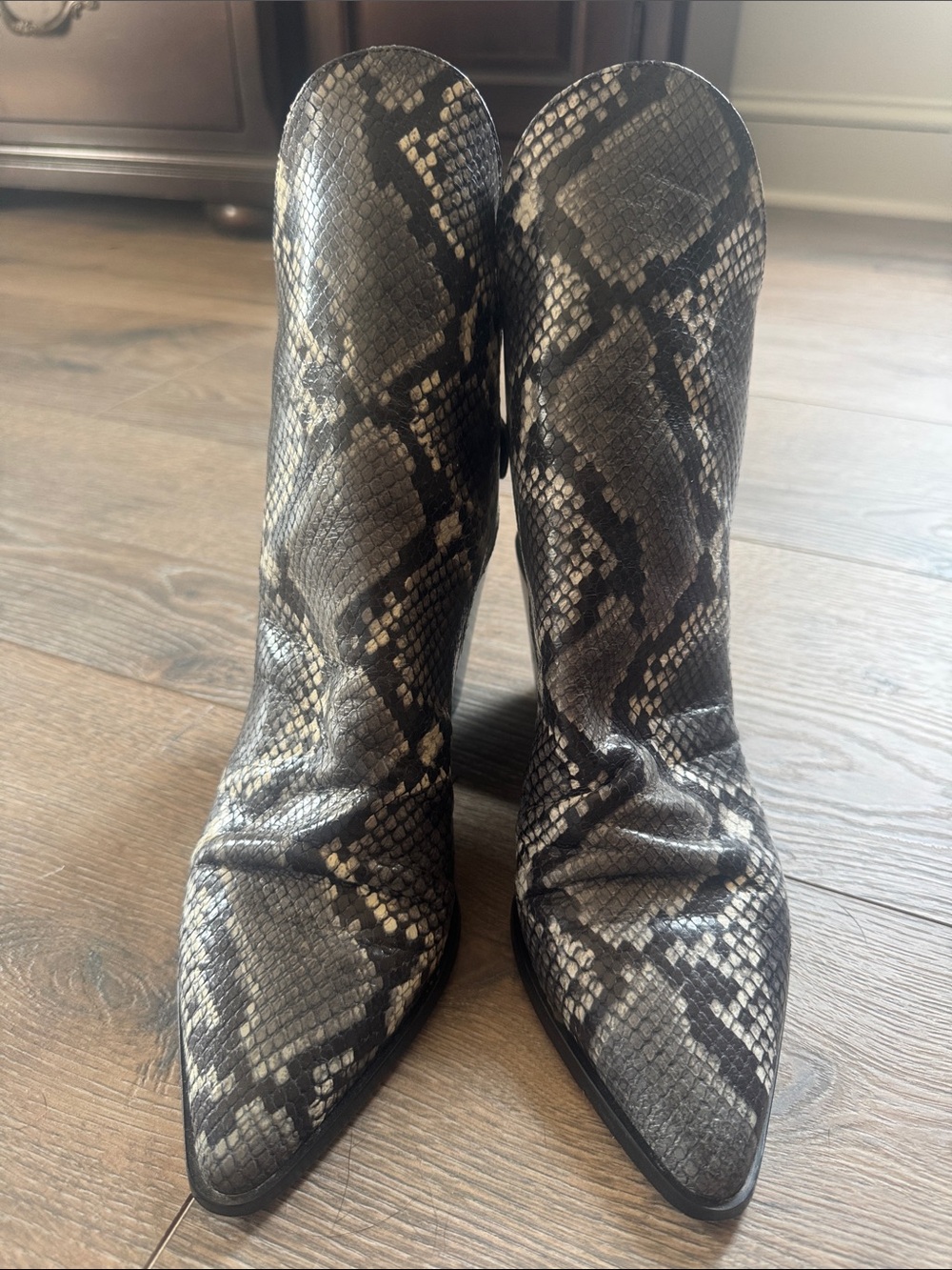Vero Cuoio Snake-Print Pointed Toe Ankle Boots in Black and Gray